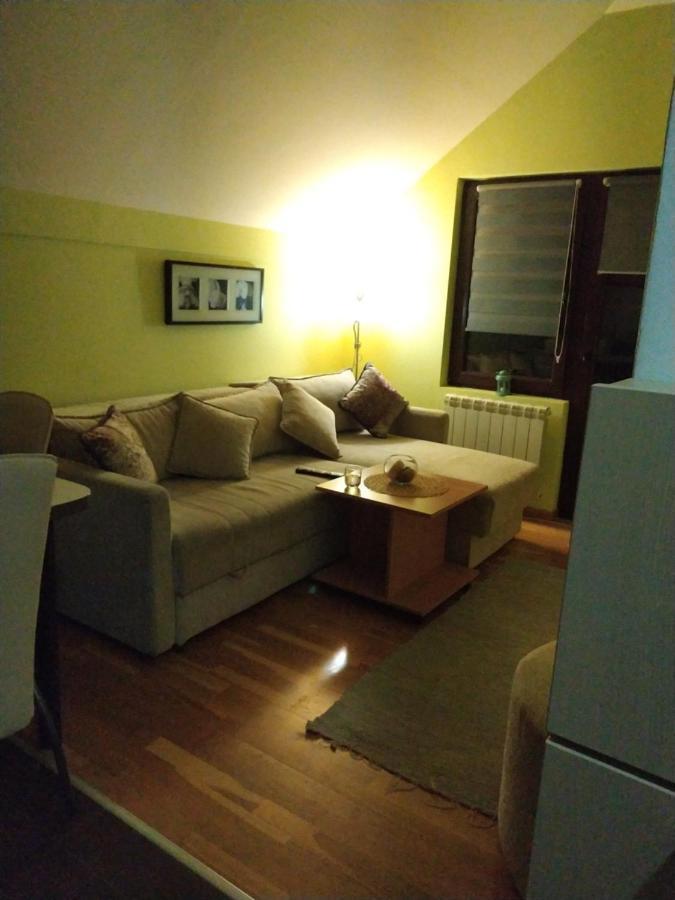 Apartment Gledovic Zlatibor Exteriör bild